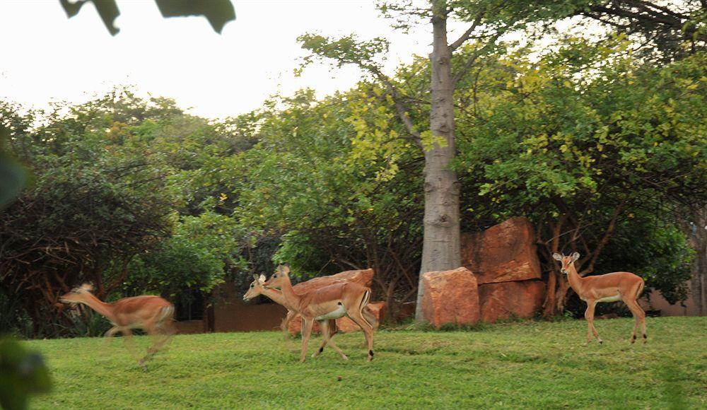 M'Kango Golfview Hotel Lusaka Extérieur photo
